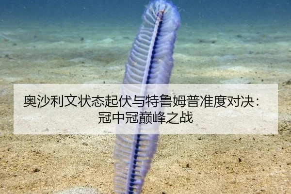 ao-sha-li-wen-zhuang-tai-qi-fu-yu-te-lu-mu-pu-zhun-du-dui-jue-guan-zhong-guan-dian-feng-zhi-zhan-3-196.jpg