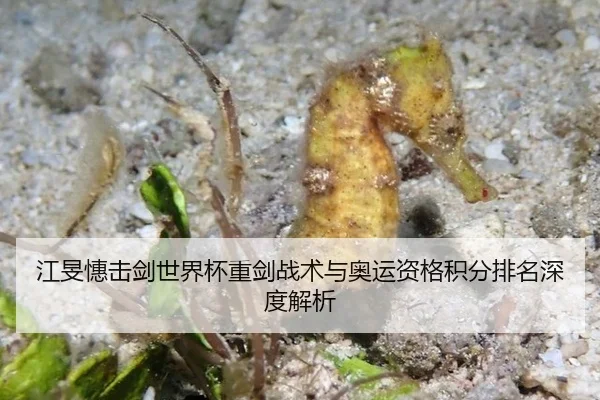 江旻憓击剑世界杯重剑战术与奥运资格积分排名深度解析