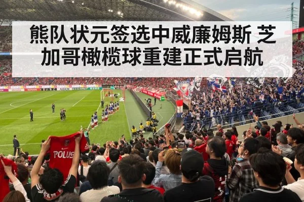 熊队状元签选中威廉姆斯 芝加哥橄榄球重建正式启航